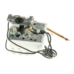 Thermostat BTS50005, double...