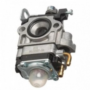Carburateur H619