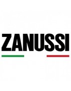  ZANUSSI