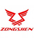 ZONGSHEN