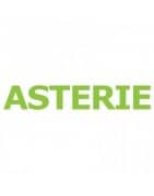  ASTERIE
