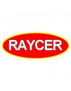  RAYCER