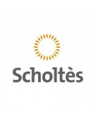  SCHOLTES